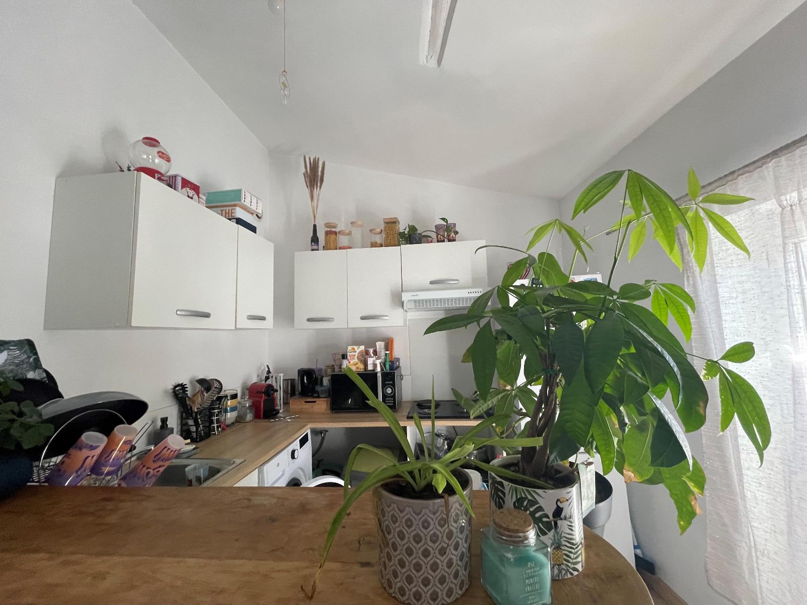 appartement 2 pièces - ST-MAXIMIN-LA-STE-BAUME